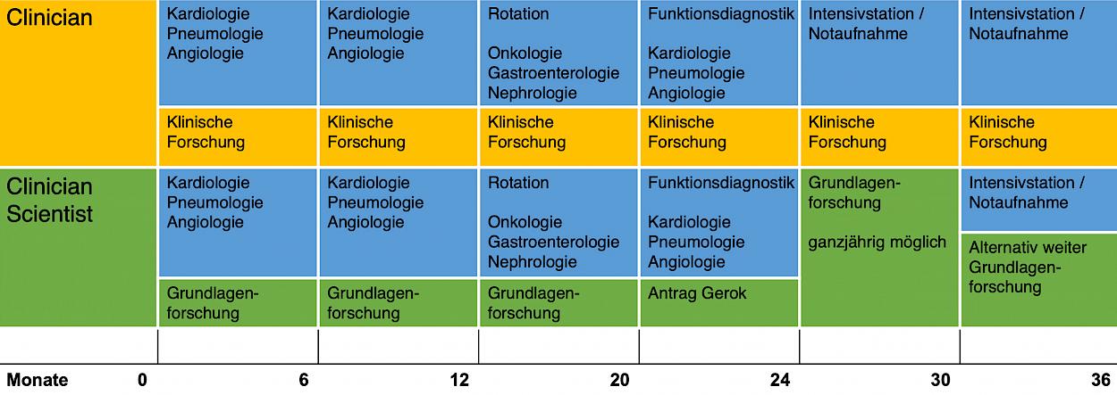 Übersicht über die Monate 0 bis 36