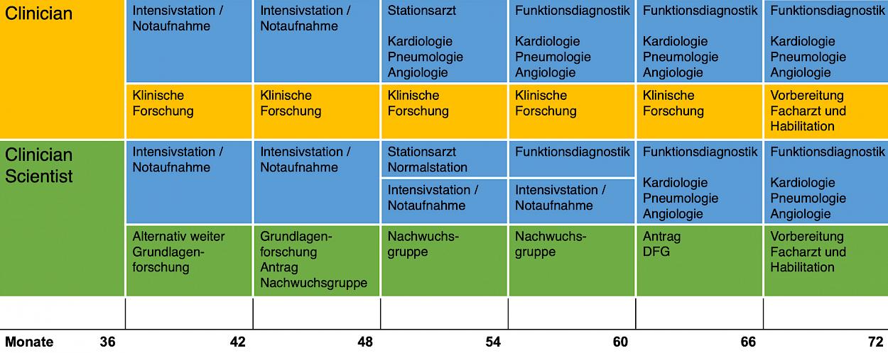 Übersicht über die Monate 36 bis 72